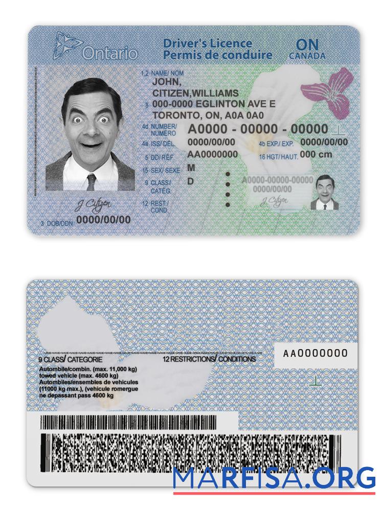 Printable Canada Ontario DL (2018 – present) download for verification